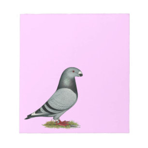 Racer Mismark anzeigen Notizblock