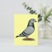 Racer Mismark anzeigen Postkarte (Stehend Vorderseite)