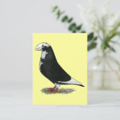 Racer Pied anzeigen Postkarte (Stehend Vorderseite)