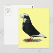 Racer Pied anzeigen Postkarte (Vorne/Hinten)