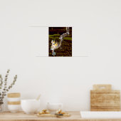 Racer (Print) Poster (Küche)