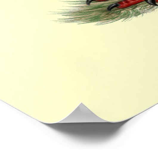 Racer Recessive Opal anzeigen Poster (Ecke)