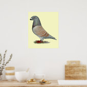 Racer Recessive Opal anzeigen Poster (Küche)