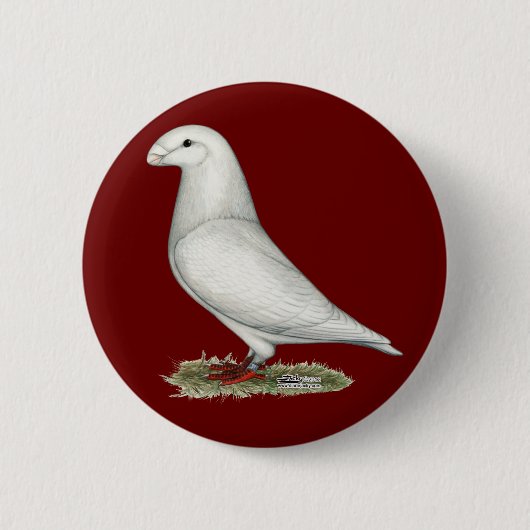 Racer White anzeigen Button (Vorderseite)