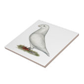 Racer White anzeigen Fliese (Seite)