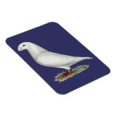 Racer White anzeigen Magnet (Rechte Seite)