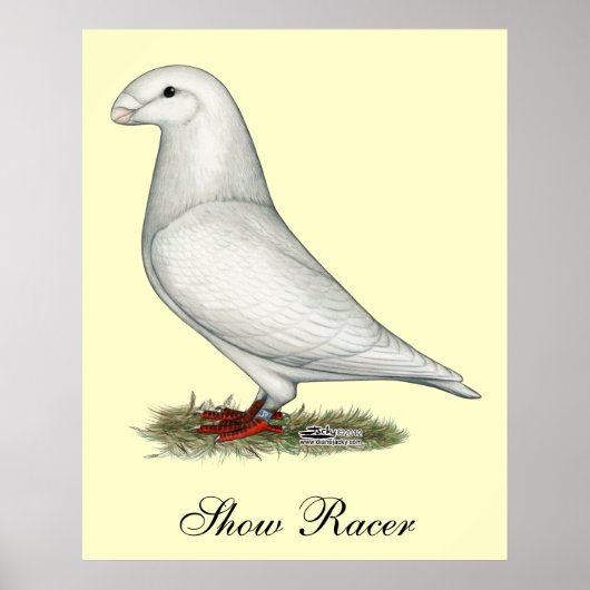 Racer White anzeigen Poster (Vorne)