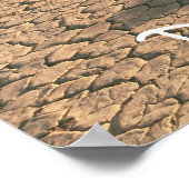 Racetrack Playa Poster (Ecke)