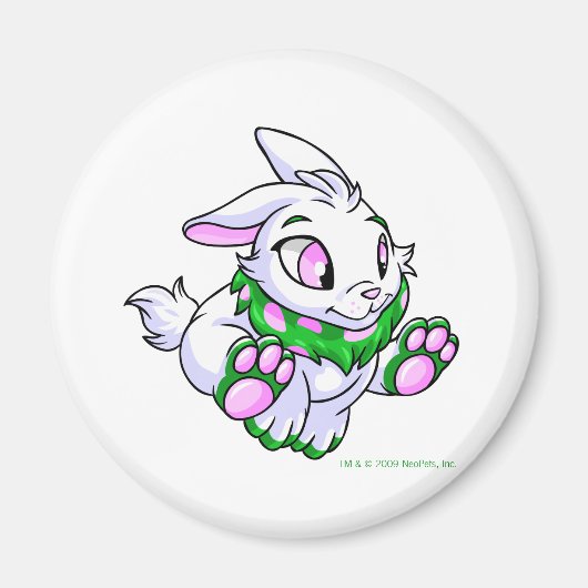 Racgreen Cybunny Magnet