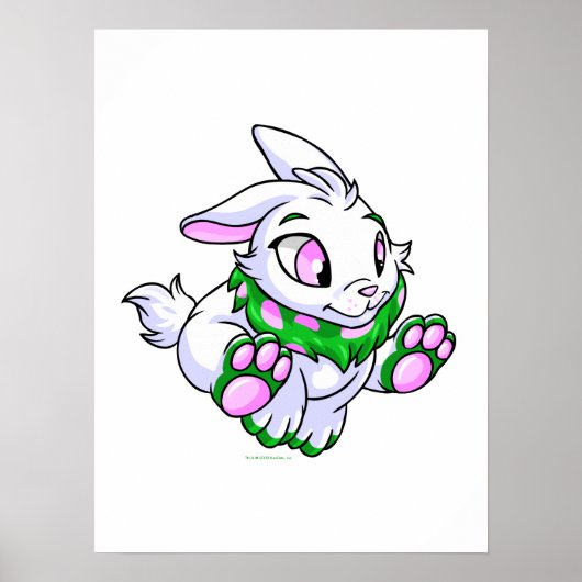 Racgreen Cybunny Poster (Vorne)