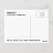 Rache des kleinen Hundes. Postkarte (Rückseite)
