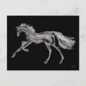 Rachel Alexandra ~ Postcard Postkarte (Vorderseite)