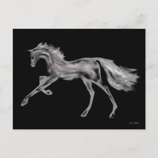 Rachel Alexandra ~ Postcard Postkarte (Vorderseite)