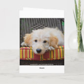 Rachel Happy Birthday Golden Doodle Puppy Karte (Rückseite)
