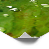 Rachenblätter Poster (Ecke)