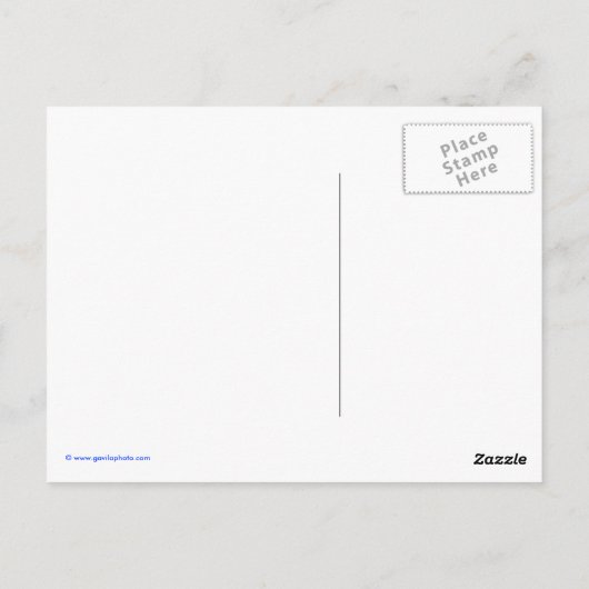 Rachenblätter Postkarte (Rückseite)