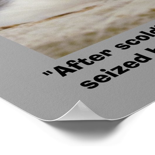 rachsüchtiges Grumpy kitty mit - Charlotte Gray Qu Poster (Ecke)