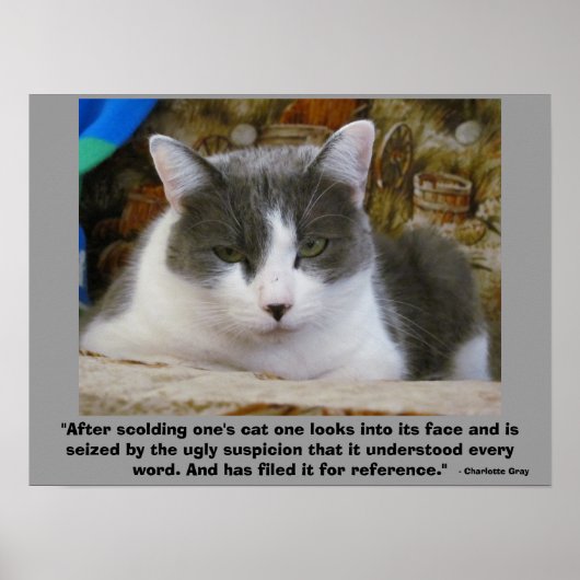 rachsüchtiges Grumpy kitty mit - Charlotte Gray Qu Poster (Vorne)