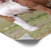 Racial Profiling Poster (Ecke)