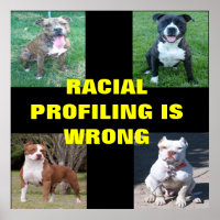 Racial Profiling