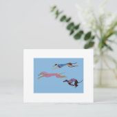 Racing Greyhounds with lead dog in Bunny suit Postkarte (Stehend Vorderseite)