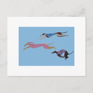 Racing Greyhounds with lead dog in Bunny suit Postkarte