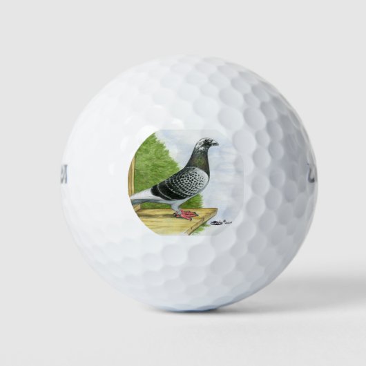 Racing Homer auf dem Landeboard Golfball (Vorderseite)