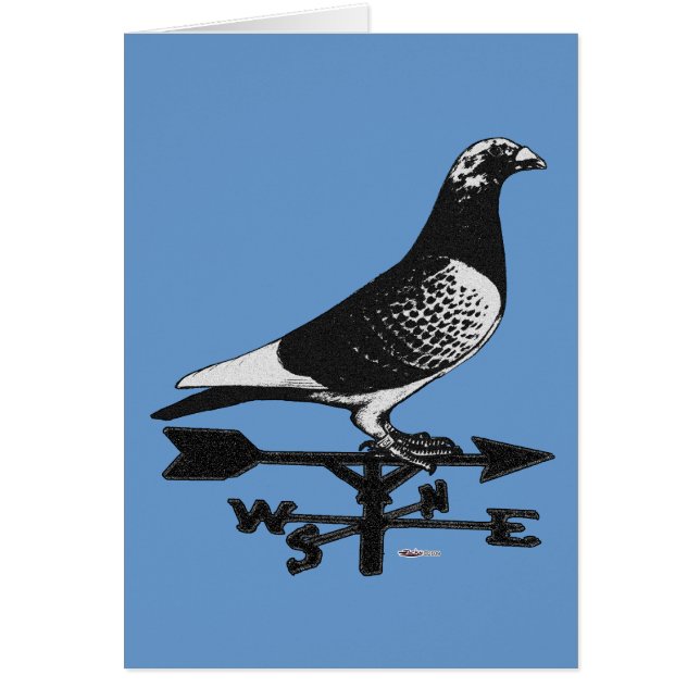 Racing Homer: Weathervane Homer (Vorne)