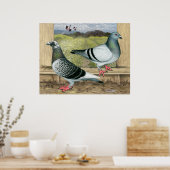 Racing Homers in Loft Poster (Küche)