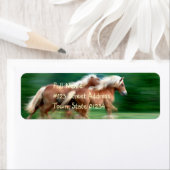 Racing Palomino Rücksendeadresse (Insitu)