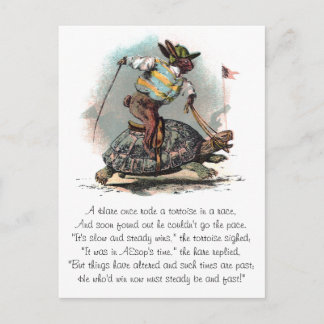 Racing Rabbit Riding Tortoise Postkarte