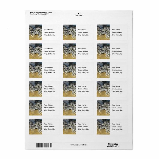 Racing Stripes - Zebra Address Labels Adressaufkleber (Vorne)