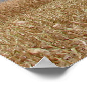 Racing the Storm Poster (Ecke)