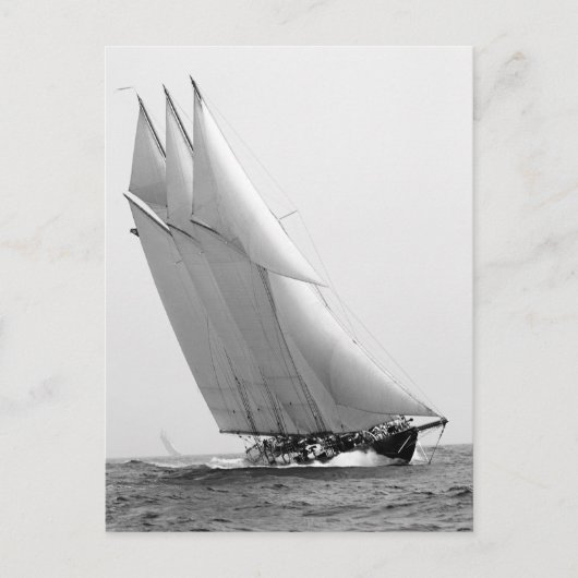 Racing Yacht Atlantic, 1904 Postkarte (Vorderseite)