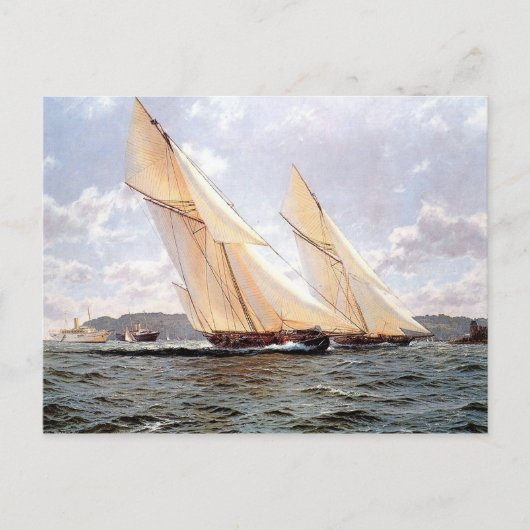 Racing yachts and steamships postkarte (Vorderseite)