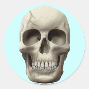 Racker Schädel Runder Aufkleber