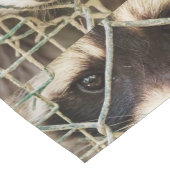 Racon auf Tischrann Großer Tischläufer (Ecke)