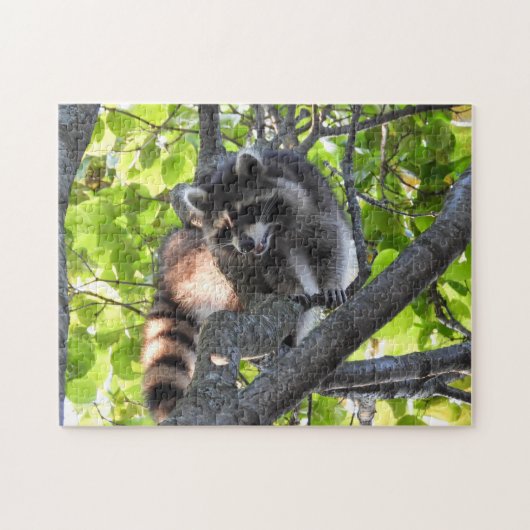Racon in einem Baum Puzzle (Horizontal)