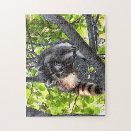 Racon in einem Baum Puzzle (Vertikal)