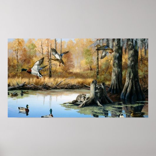 Racons dringen in den Duckteich ein Poster (Vorne)