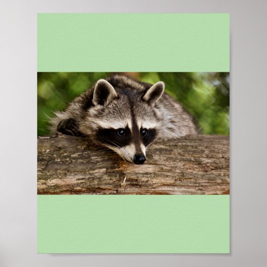 Racons Poster (Vorne)