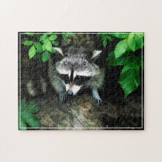 Racoon Game Puzzle (Horizontal)