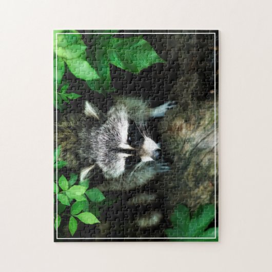 Racoon Game Puzzle (Vertikal)