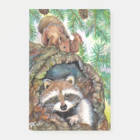 Racoon im Baum-Loch mit Eichhörnchen