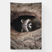 Racoon in der Baumhöhle Banner (Vertikal)