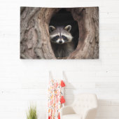 Racoon in der Baumhöhle Banner (InSitu)