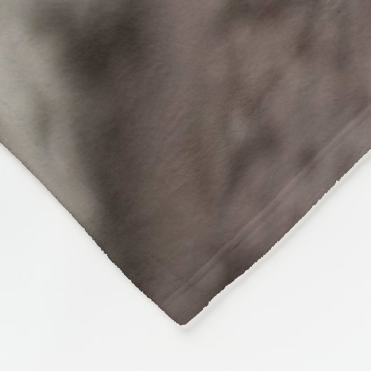 Racoon in der Baumhöhle Fleecedecke (Ecke)