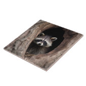 Racoon in der Baumhöhle Fliese (Seite)