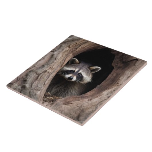Racoon in der Baumhöhle Fliese (Seite)