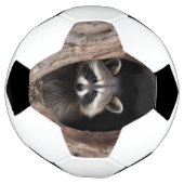 Racoon in der Baumhöhle Fußball (Gedreht)